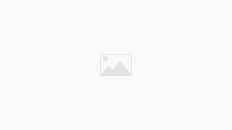 Elementor #2531